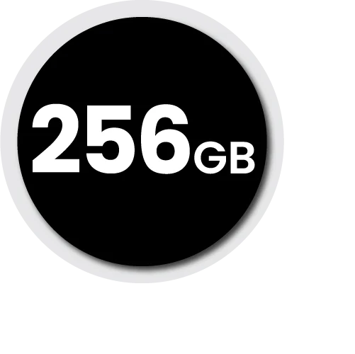 256GB